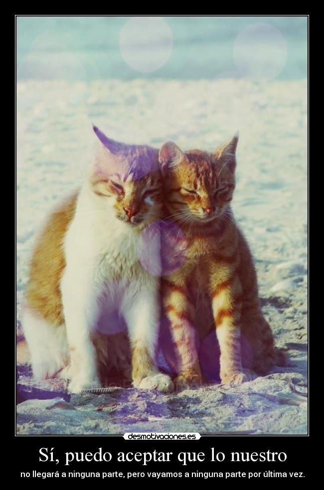 Sí, puedo aceptar que lo nuestro -