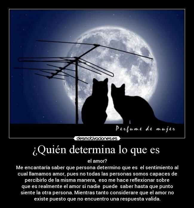¿Quién determina lo que es  - el amor?
Me encantaría saber que persona determino que es  el sentimiento al
cual llamamos amor, pues no todas las personas somos capaces de
 percibirlo de la misma manera,  eso me hace reflexionar sobre 
que es realmente el amor si nadie  puede  saber hasta que punto
siente la otra persona. Mientras tanto considerare que el amor no
existe puesto que no encuentro una respuesta valida.