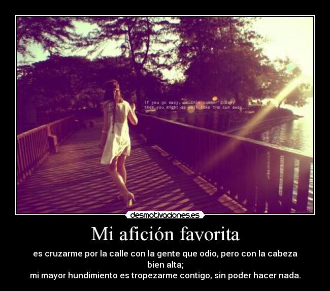 carteles dolor desmotivaciones