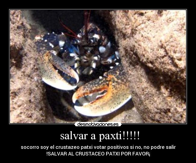 salvar a paxti!!!!! - socorro soy el crustazeo patxi votar positivos si no, no podre salir
!SALVAR AL CRUSTACEO PATXI POR FAVOR¡