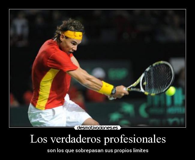 Los verdaderos profesionales - 