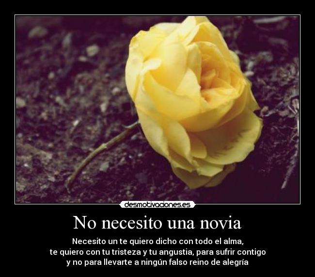 No necesito una novia - 