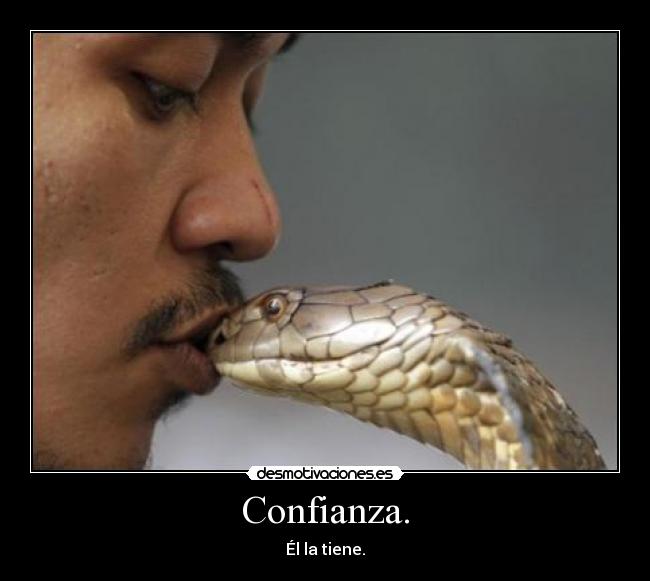 carteles confianza serpiente encantador desmotivaciones