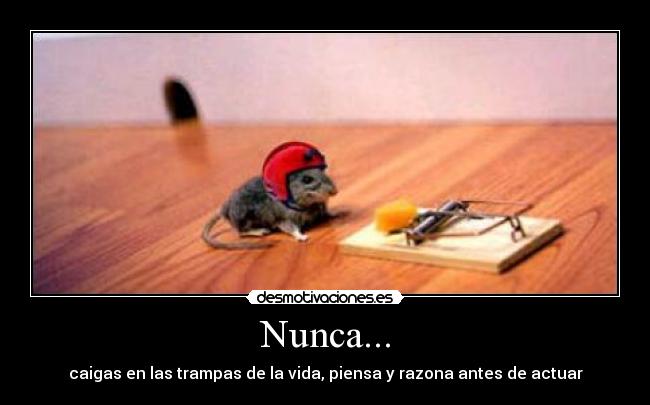 Nunca... -