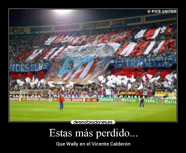 Estas más perdido... - Que Wally en el Vicente Calderón