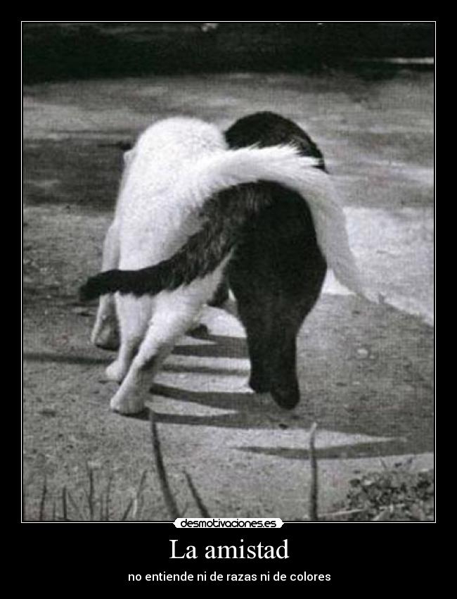 La amistad -
