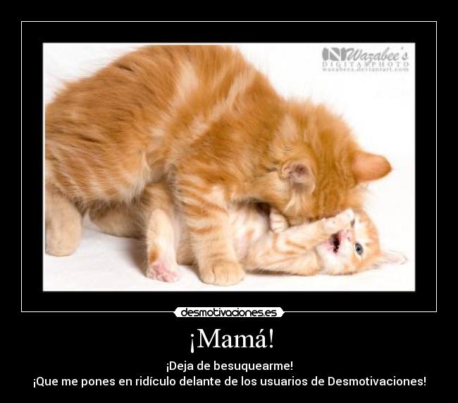 carteles gatosgatobesomadrehijowalt_k desmotivaciones