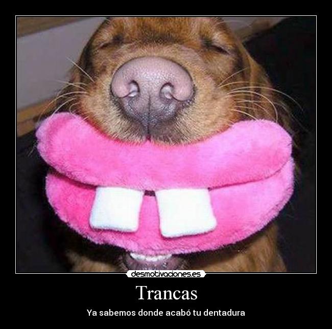 Trancas - Ya sabemos donde acabó tu dentadura