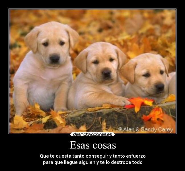 Esas cosas - Que te cuesta tanto conseguir y tanto esfuerzo
para que llegue alguien y te lo destroce todo