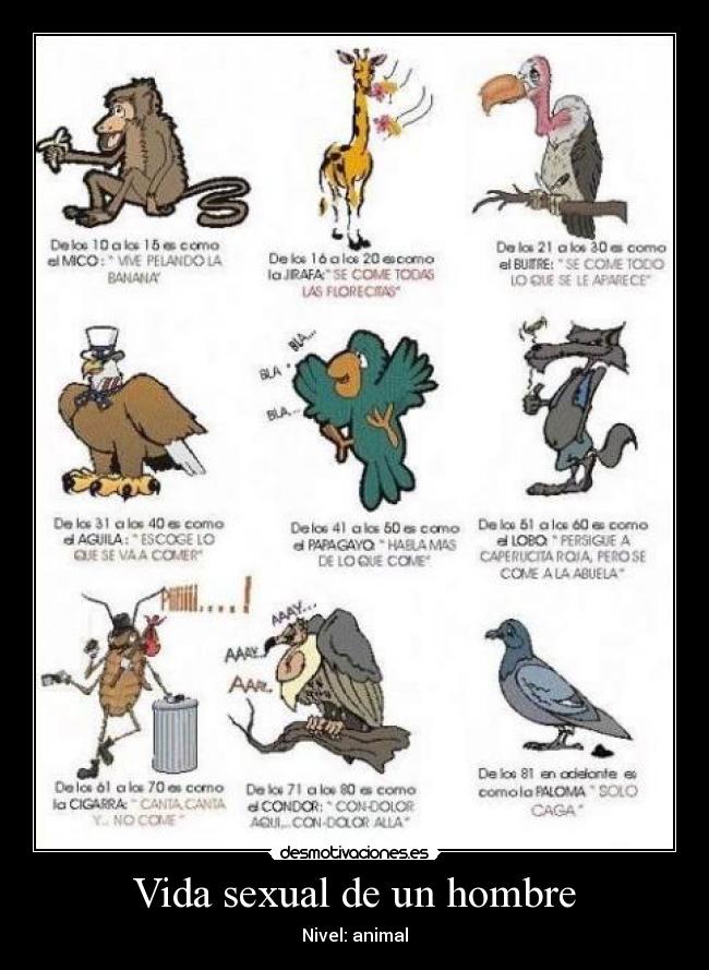 Vida sexual de un hombre - 