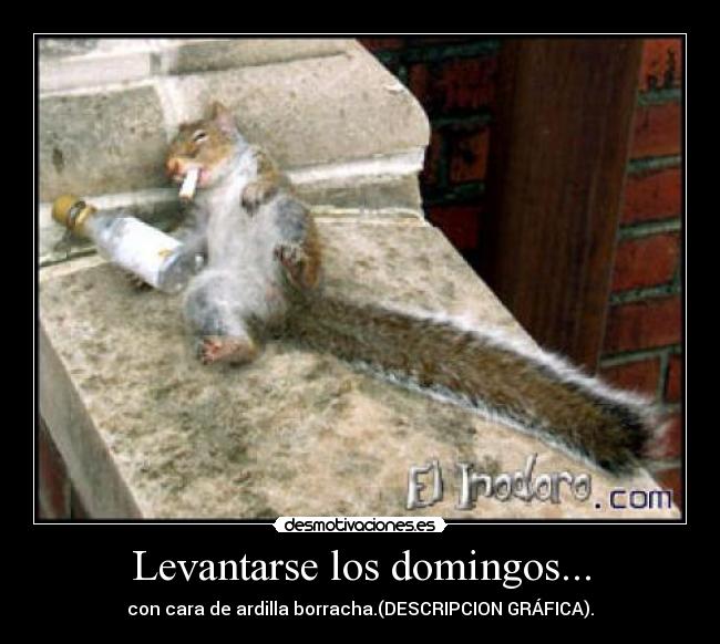 carteles lokiel desmotivaciones