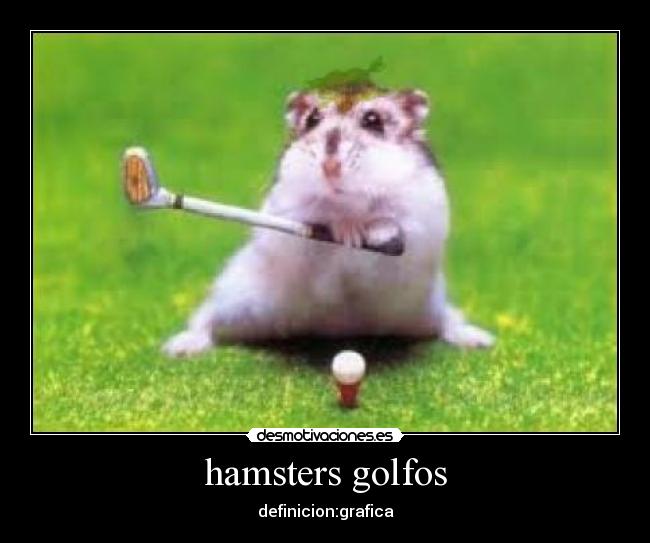 hamsters golfos - 