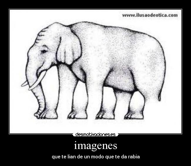 imagenes -