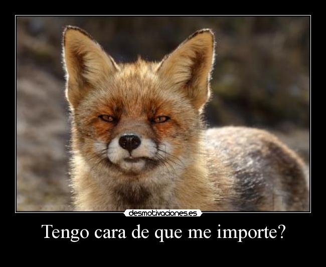 Tengo cara de que me importe? -