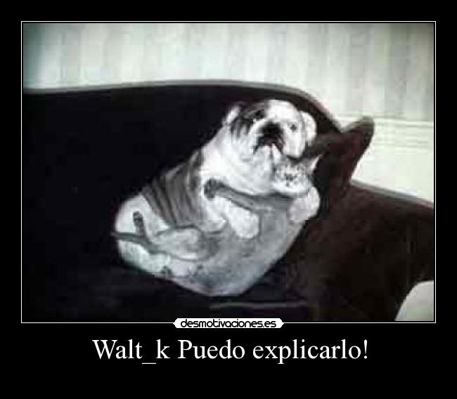 Walt_k Puedo explicarlo! -