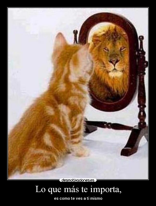 Lo que más te importa, - es como te ves a ti mismo
