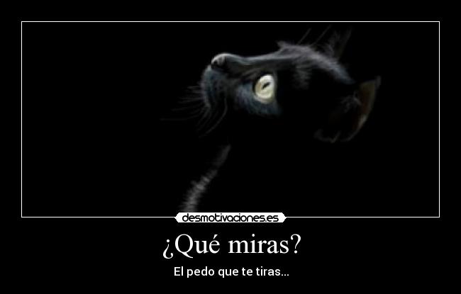 ¿Qué miras? -