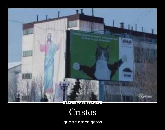 Cristos - que se creen gatos