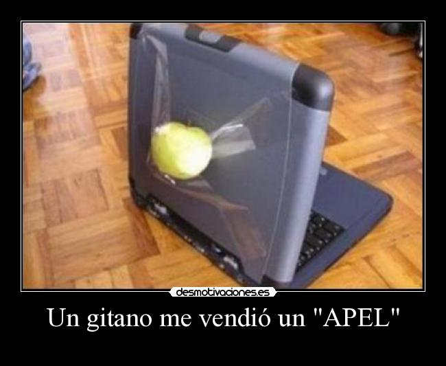 carteles gitano desmotivaciones