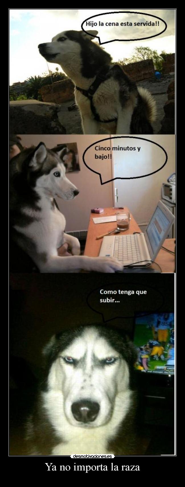 Ya no importa la raza - 