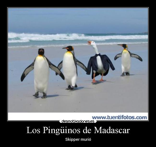 Los Pingüinos de Madascar - 