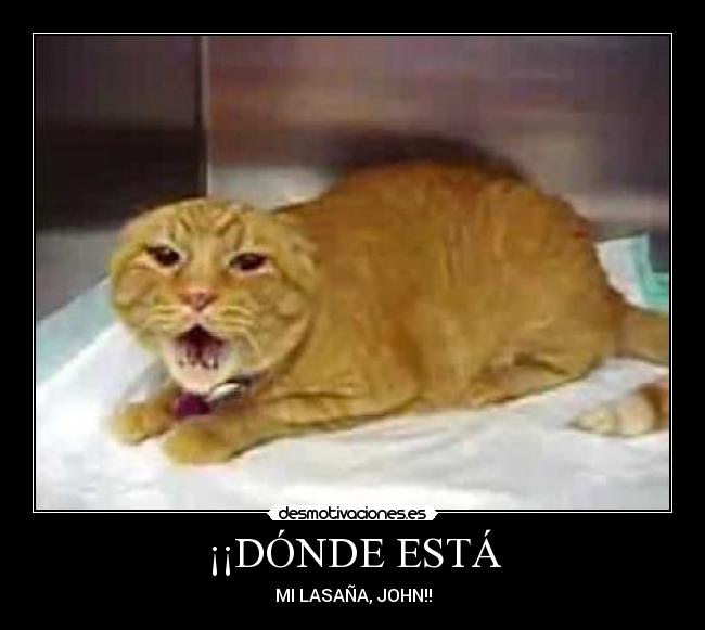 ¡¡DÓNDE ESTÁ -