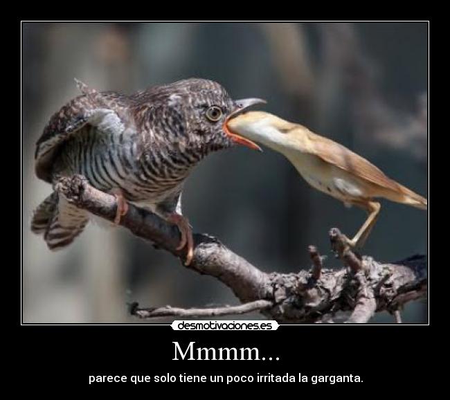 Mmmm... - parece que solo tiene un poco irritada la garganta.