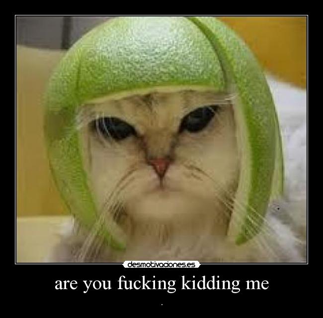 are you fucking kidding me -