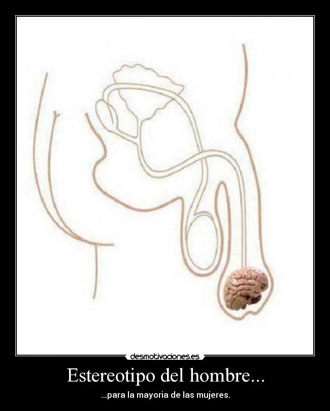 Estereotipo del hombre... - ...para la mayoria de las mujeres.
