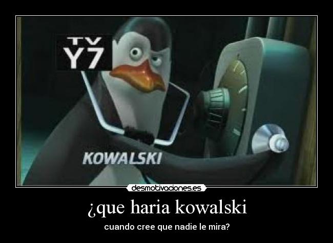¿que haria kowalski -