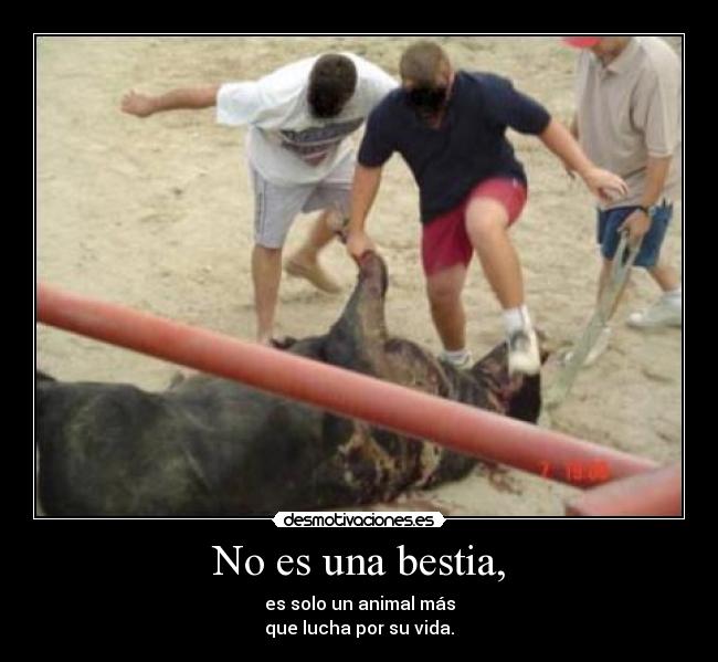 No es una bestia, - 