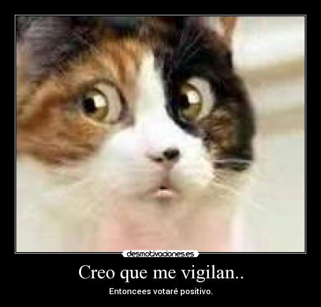 Creo que me vigilan.. -