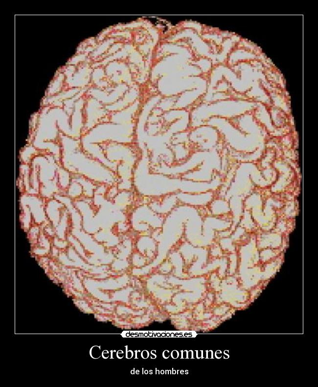 Cerebros comunes - 