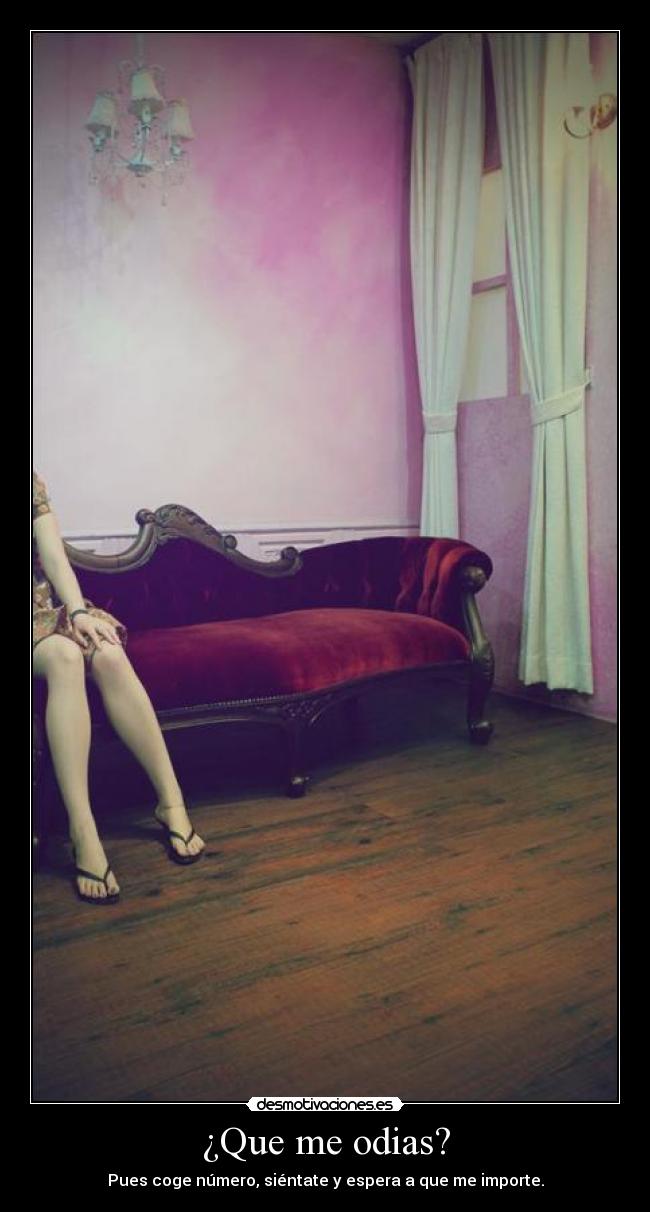 ¿Que me odias? - Pues coge número, siéntate y espera a que me importe.