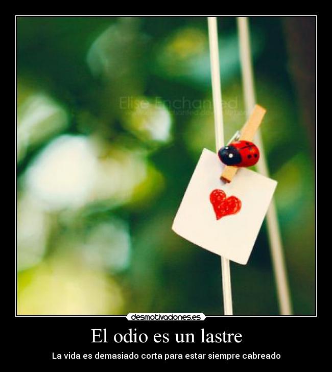 El odio es un lastre -