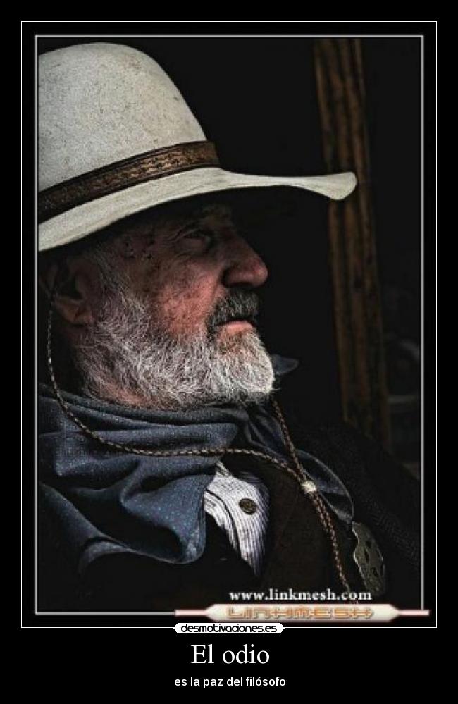 carteles odio odio problemas digredir reflexionar meditar pensar vaquero sombrero filosofo odio paz desmotivaciones