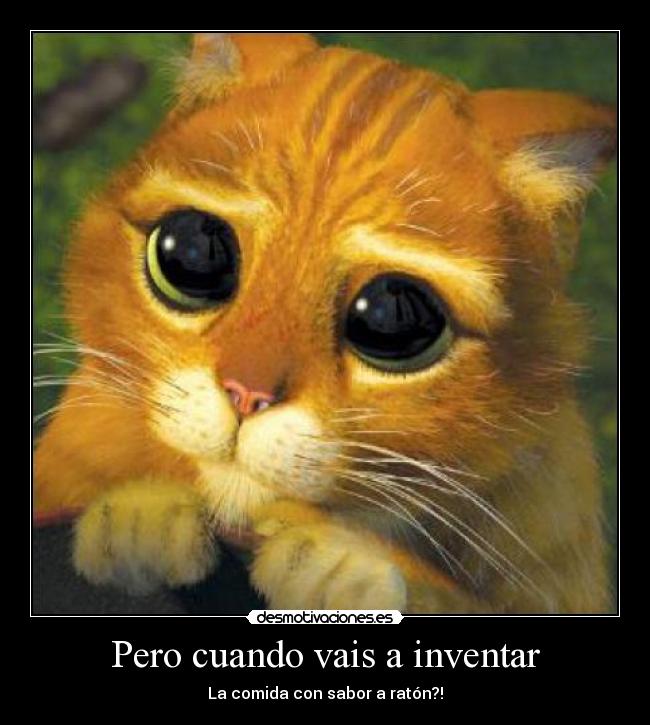 carteles gatos comida desmotivaciones