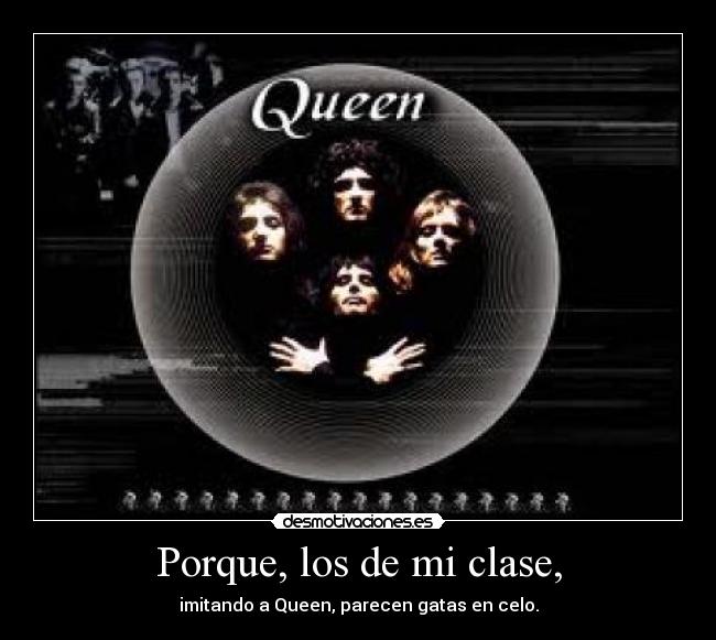 Porque, los de mi clase, - imitando a Queen, parecen gatas en celo.