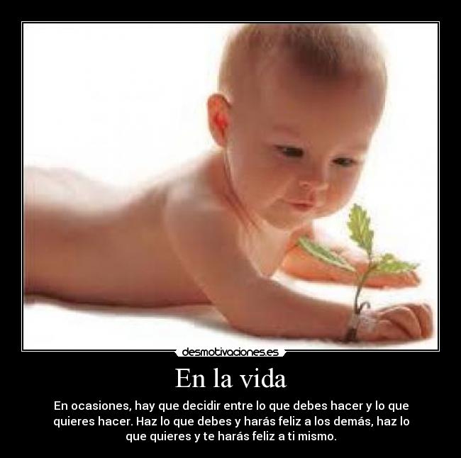 En la vida - 