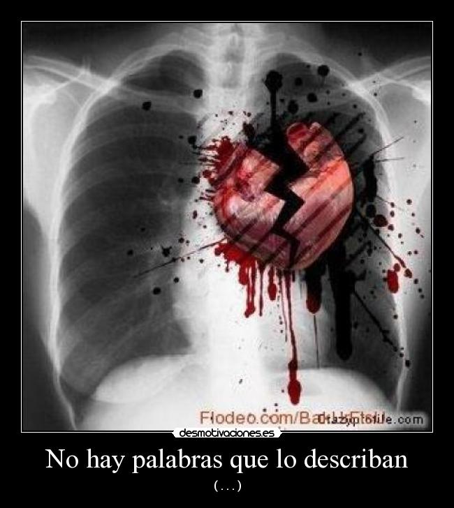 No hay palabras que lo describan - ( . . . )