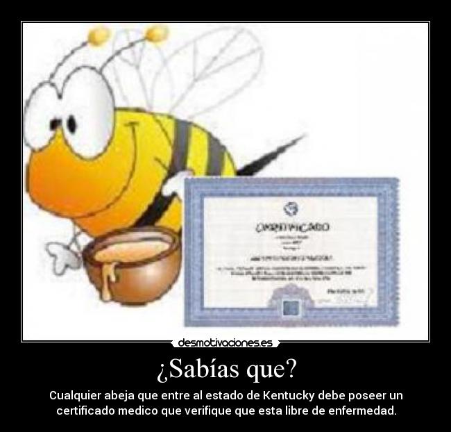 ¿Sabías que? - Cualquier abeja que entre al estado de Kentucky debe poseer un
certificado medico que verifique que esta libre de enfermedad.