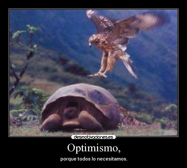 Optimismo, - 