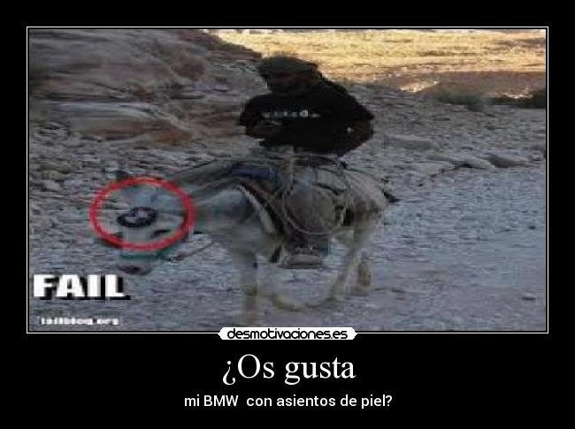 ¿Os gusta - mi BMW con asientos de piel?
