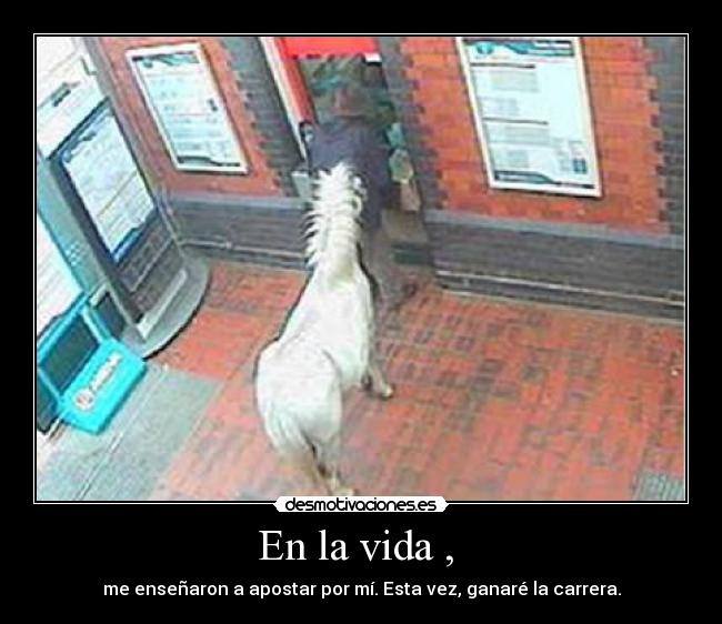 En la vida , - me enseñaron a apostar por mí. Esta vez, ganaré la carrera.