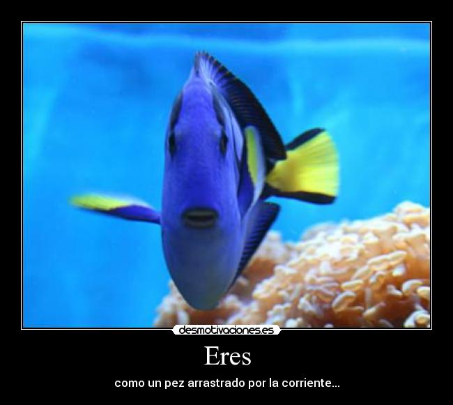 Eres - como un pez arrastrado por la corriente...