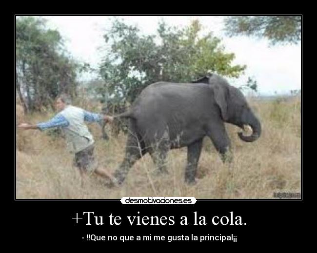 +Tu te vienes a la cola. -