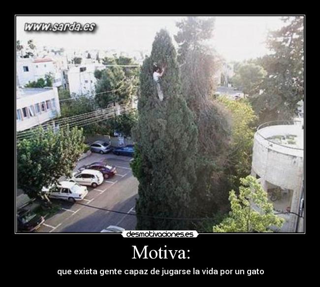 Motiva: - 