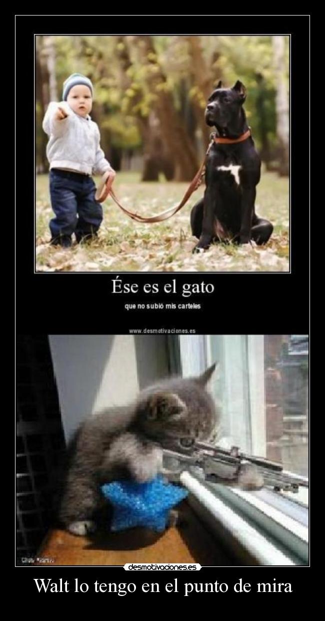 Walt lo tengo en el punto de mira - 
