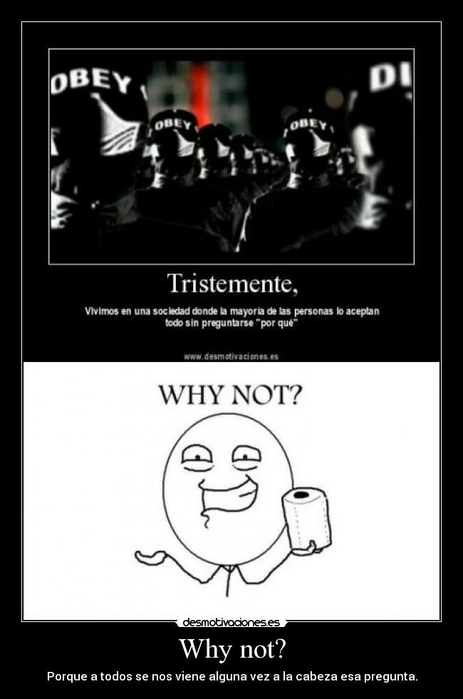 Why not? - Porque a todos se nos viene alguna vez a la cabeza esa pregunta.