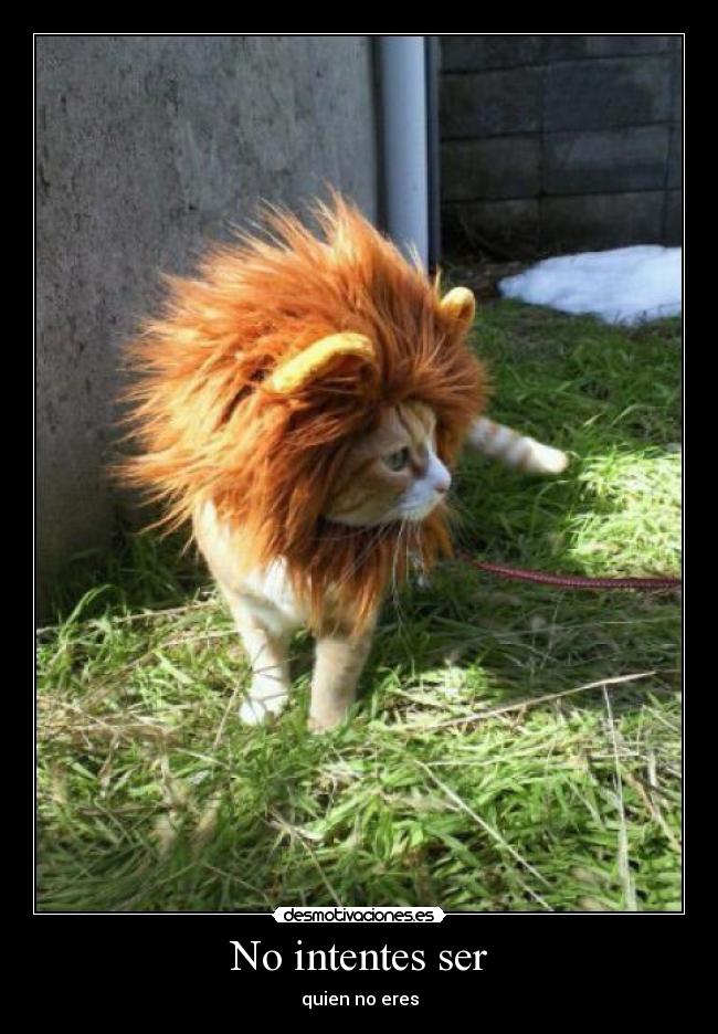 No intentes ser - quien no eres